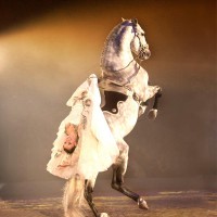 17apassionata2006-2013