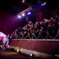 Gradins dans le manège Gradins dans le manège