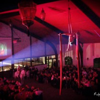 Numéro de tissu aérien dans la salle de réception Soirée de gala Nimes hasta luego