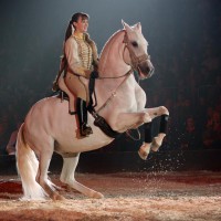 5apassionata2006-2013