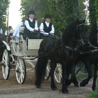 Promenade en calèche Promenade en calèche