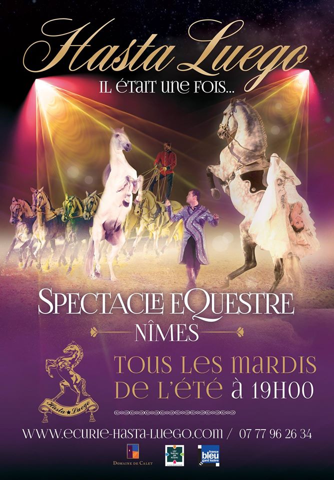 Spectacle equestre nimes hasta luego