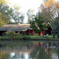 Etang Domaine de l'écurie Hasta Luego Etang Domaine de l'écurie Hasta Luego