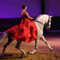 Solo Dressage