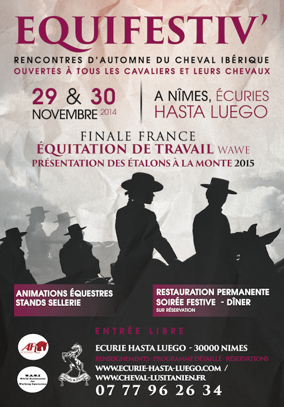 Affiche site web equifestiv 2014