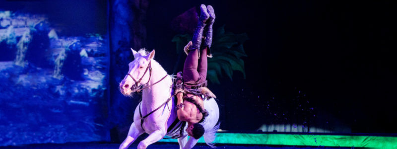 CAVALLUNA_Welt-der-Fantasie_Trickreiten_1920x600