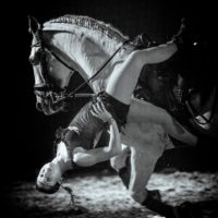 hasta--2459-2 - copie