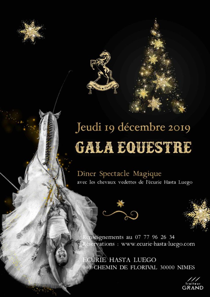 diner-spectacle-soirée-fin d'année