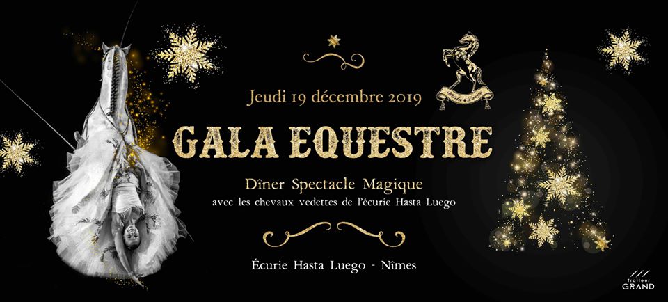 diner-spectacle-soirée-fin d'année