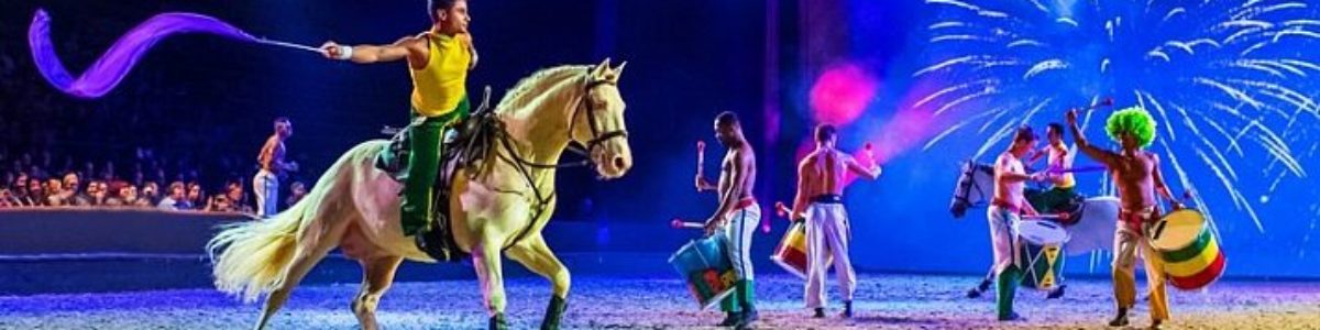 180502-1250-u-1521199435-apassionata-gefaehrten-des-lichts-pressebilder-04