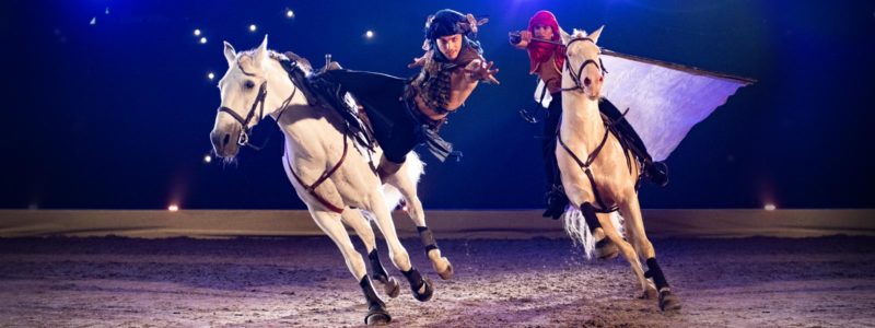 Academy Hasta Luego ©Cavalluna