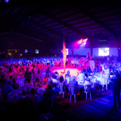 Diner de Gala Salle de spectacle Diner de Gala Salle de spectacle