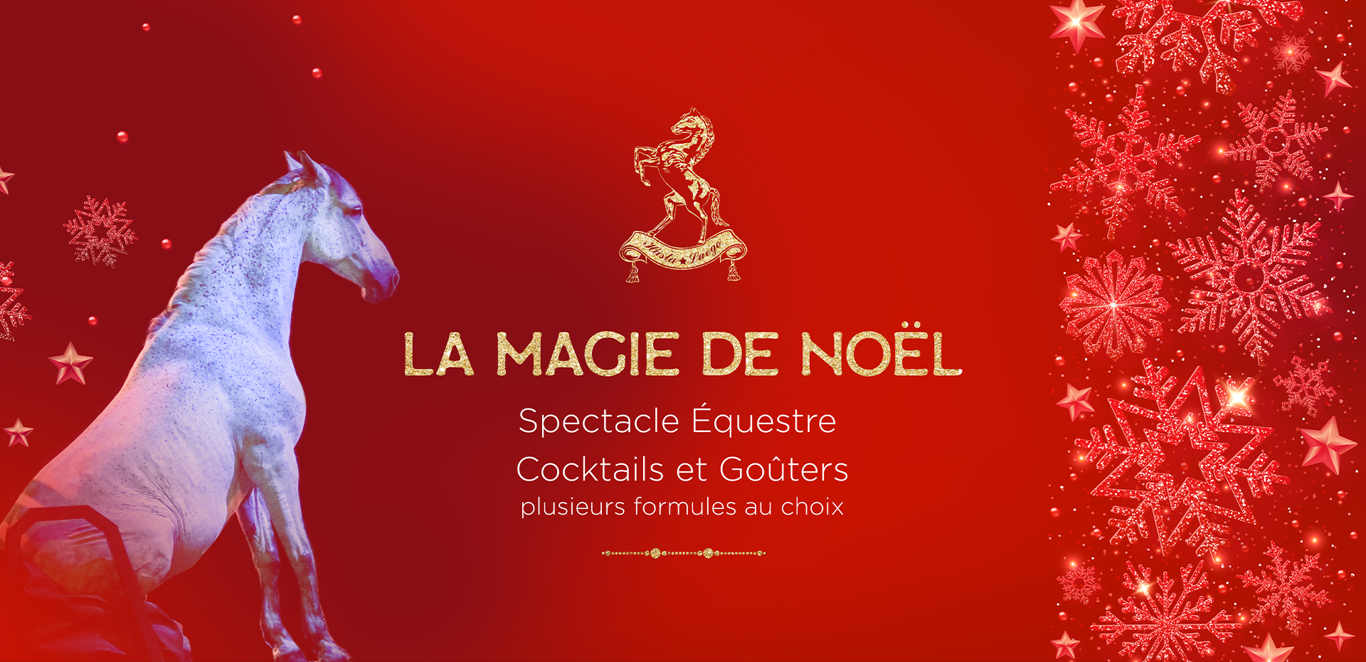 Magie de Noël - Domaine Hasta Luego Nimes