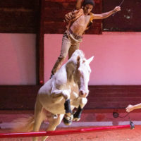 Crédit Photo Chloé Michotte