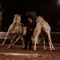 Crédit Photo Lola Bonnard