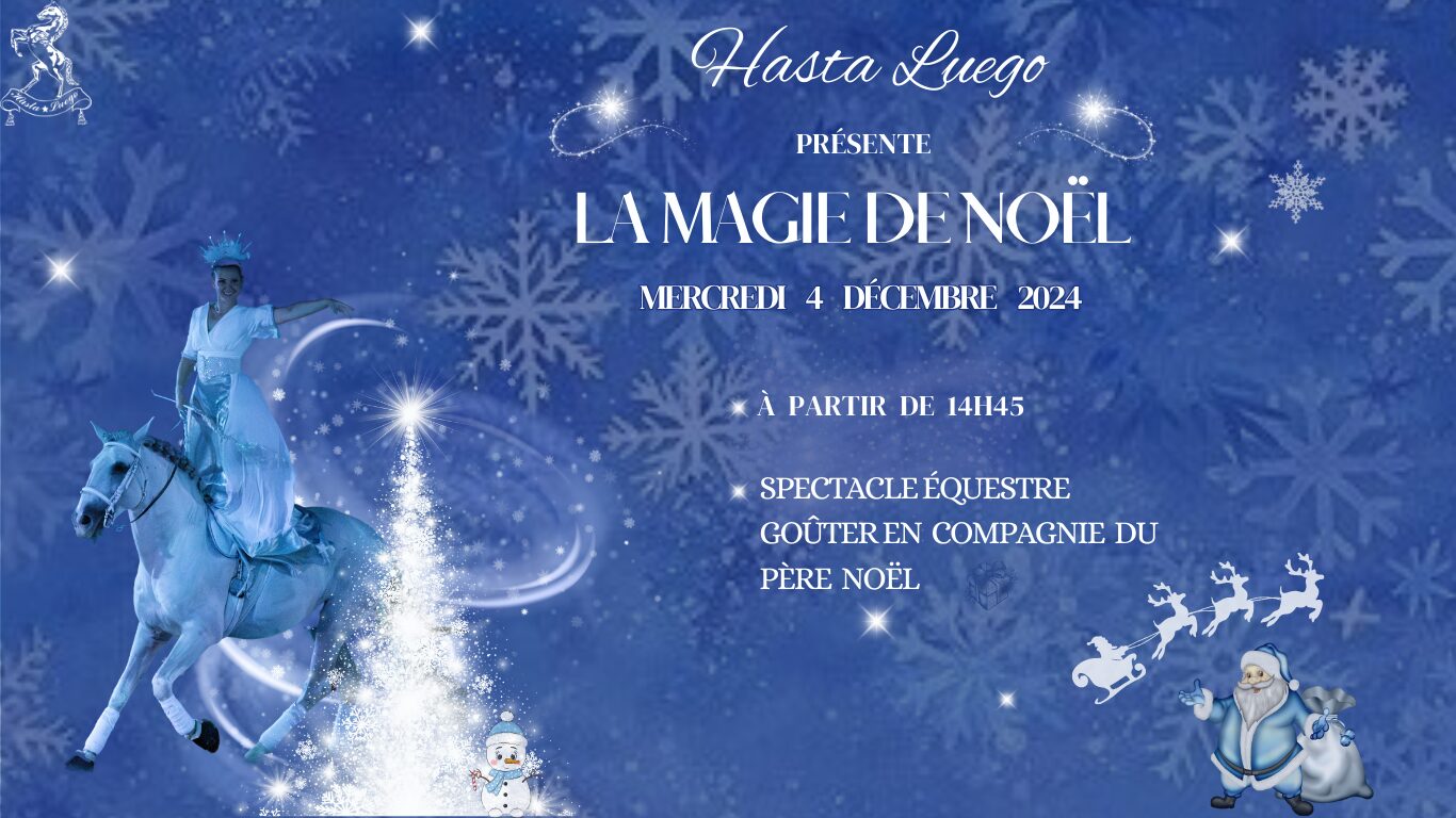 Magie Noel 2024 - Domaine Hasta Luego Nimes