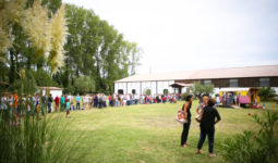 Espace vert du domaine