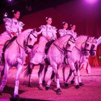 Credit photo Mélanie Pouil