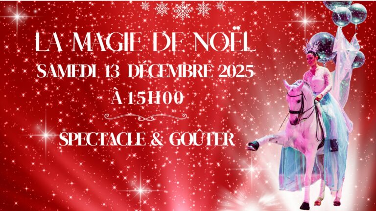 La Magie de Noël 2025 Domaine Hasta Luego