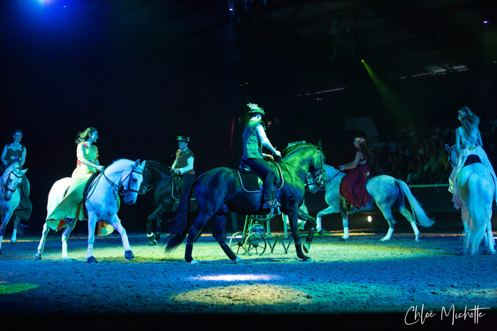 Spectacle équestre carrousel sable Domaine Hasta Luego Nimes