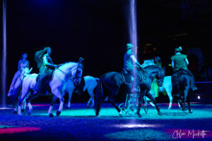 Spectacle equestre ete carrousel