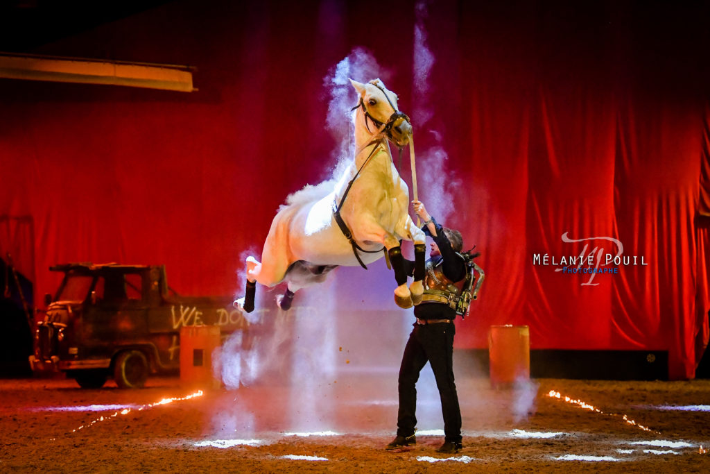 spectacle equestre ete cabriole