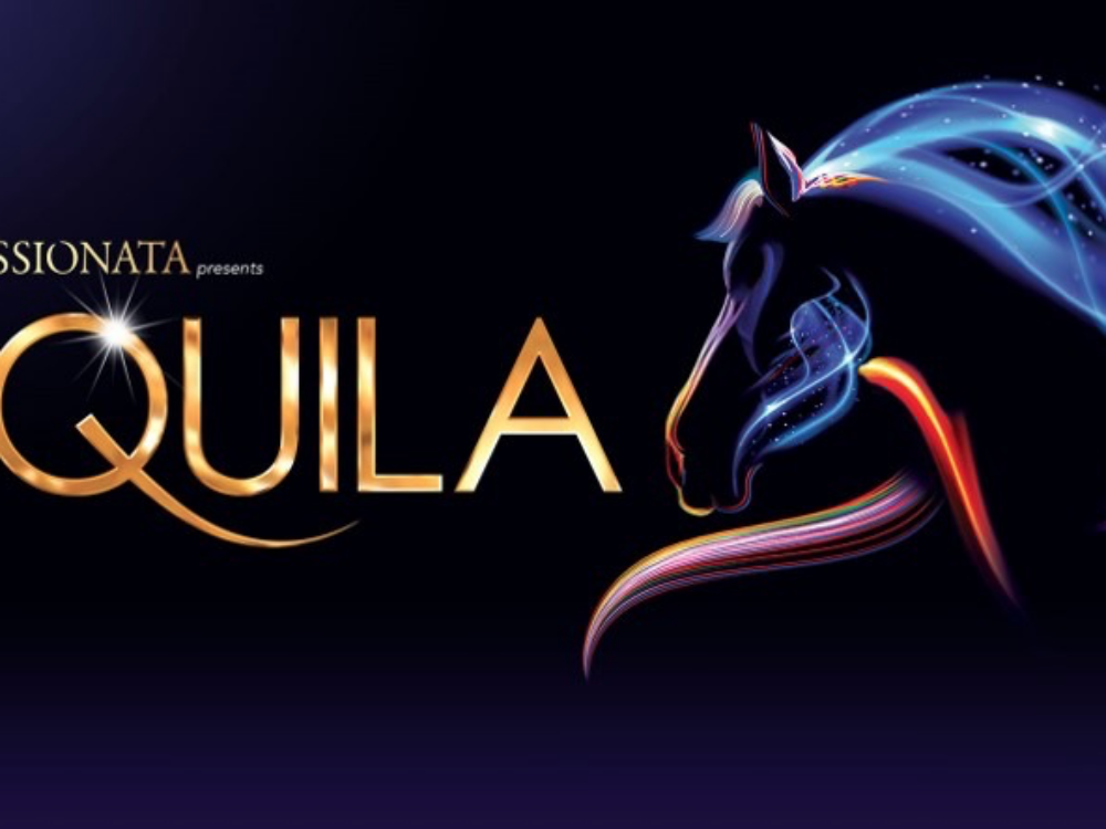 EQUILA by APASSIONATA
