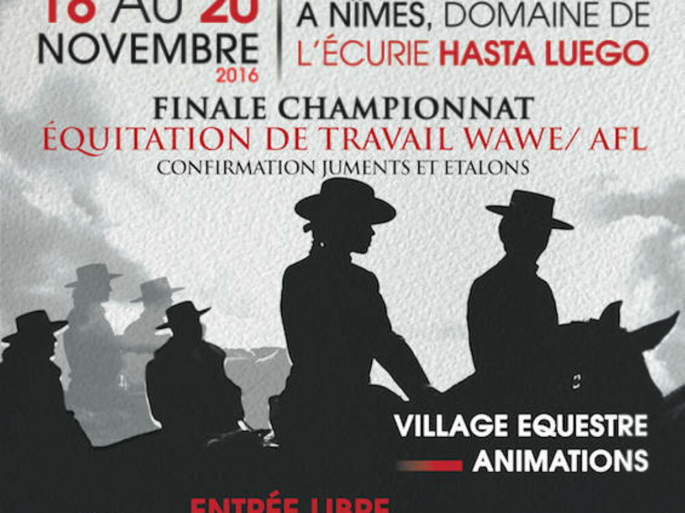 equifestiv 2016
