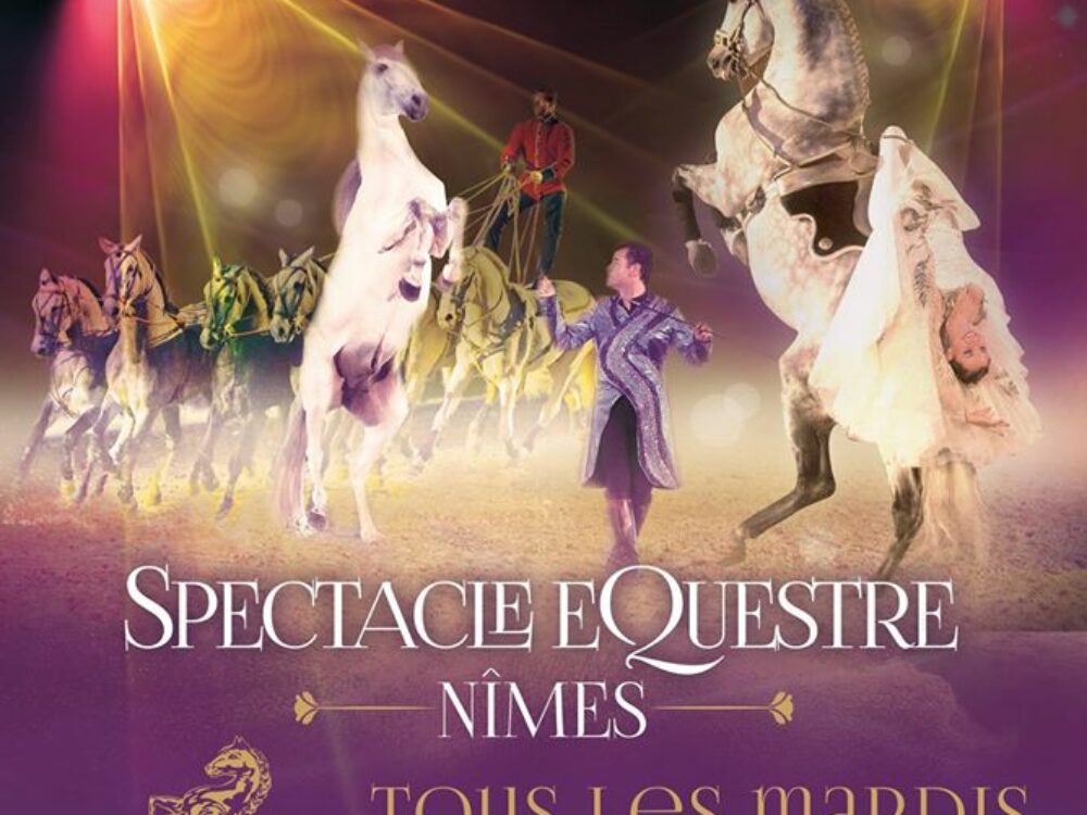 Spectacle equestre nimes hasta luego