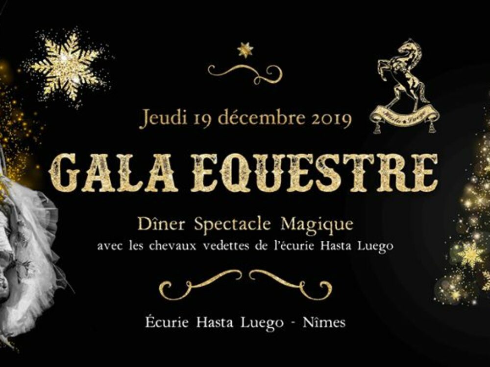 diner-spectacle-soirée-fin d'année 2019