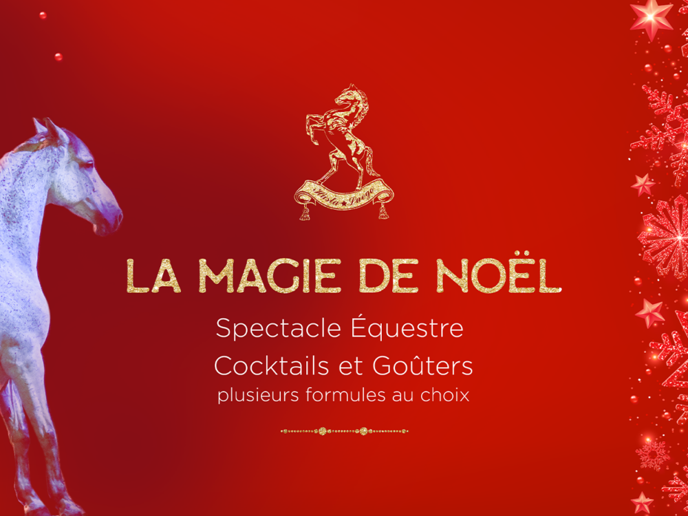 Magie de Noël - Domaine Hasta Luego Nimes